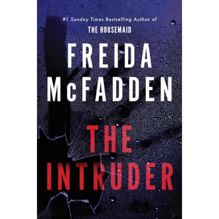 The Intruder - Freida McFadden
