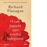 O cale ingusta spre nordul indepartat - Richard Flanagan, Petru Iamandi