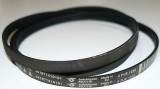 Curea Masina Spalat Hutchinson Poly V 4PJE1238 5PJE1239
