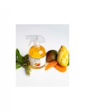 Odorizant de camera spray Mango, Loris