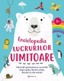 Enciclopedia lucrurilor uimitoare - Bookzone