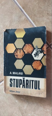 STUPARITUL - AUREL MALAIU foto