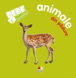 Bebe invata: Animale din padure, Litera