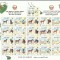 BAHRAIN 1997 FAUNA ANIMALE DOMESTICE CAI