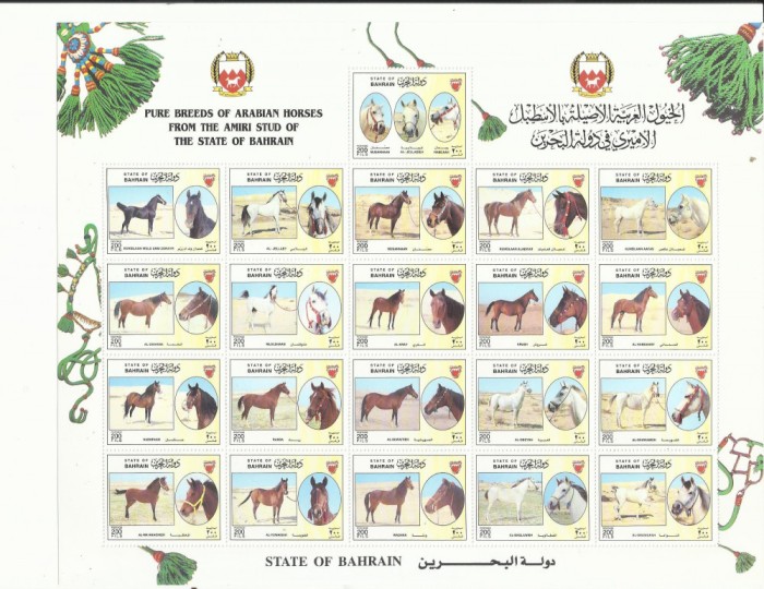 BAHRAIN 1997 FAUNA ANIMALE DOMESTICE CAI