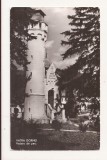RF95 - Carte Postala - Vatra Dornei, vedere din parc, necirculata