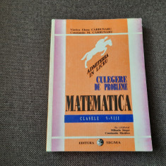 Culegere de probleme de matematica clasele V-VIII - Viorica Elena Carbunaru