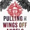 Pulling the Wings Off Angels