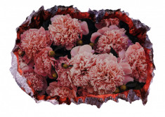 Autocolant decorativ, Gaura in perete, Arbori si flori, Multicolor, 83 cm, 400ST-1 foto