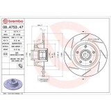 Set disc frana Renault Megane 3 Coupe (Dz0/1) 11.08-09.16, Spate, 290X11mm, plin, BREMBO