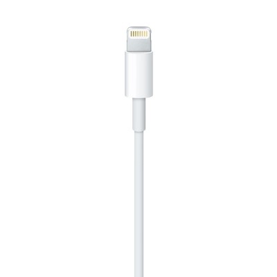 Cablu date apple lightning 1m alb foto
