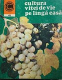 Cultura vitei de vie pe linga casa Avram D. Tudosie, 1981, Alta editura