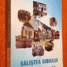 Salistea Sibiului - Octavian Rusu