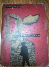 Iuri Gherman - Omul meu drag