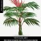 Vintage Art: Pieter Joseph De Pannemaeker: 20 Botanical Prints