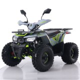 Atv Asix Hunter 125cc, roti 8 inch, 1+1 viteze, culoare gri/lime Cod Produs: MX_NEW A6-HUN12586-5
