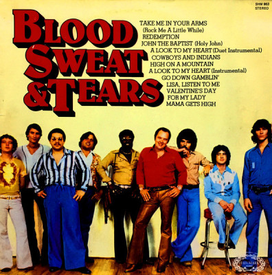 Vinil Blood, Sweat And Tears &amp;ndash; Blood, Sweat And Tears (VG++) foto