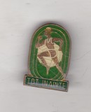 bnk ins Insigna Pionier Tot Inainte pentru activitati sportive