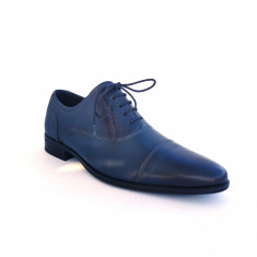 Pantofi barbati,Francesco Ricotti,Cod FR100347, culoare albastru,marime 40