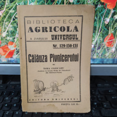 Toma Cojocaru, Călăuza Pivnicerului, editura Universul, București 1947, 177