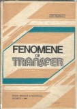 Fenomene de transfer - Ioan Rasenescu, 1984