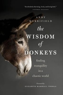 The Wisdom of Donkeys: Finding Tranquility in a Chaotic World foto