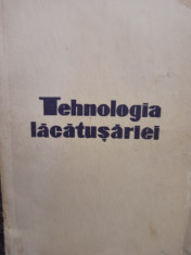 T. Mucica - Tehnologia lacatusariei foto