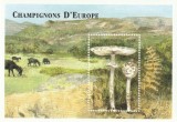 Comores 1999 - Flora , Ciuperci , Colita , dantelata , MNH , Mi. Bl.395