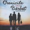 CRONICILE UNUI BARBAT VOL.2-SILVIU ILIUTA-240895