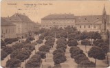 Timisoara Jenő herceg-t&eacute;r Piaţa Prinţul Eugen ND, Circulata, Fotografie