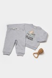 Cumpara ieftin Set hanorac si pantaloni, Two thread, 100%bumbac organic - Gri, BabyCosy (Marime: 12-18 Luni)