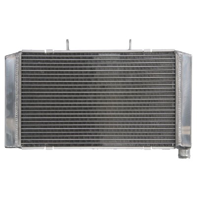 RADIATOR HONDA CB 600 2008 2013 foto