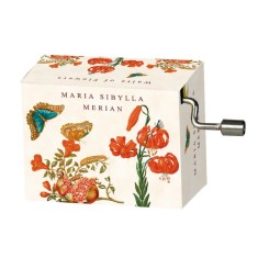 Flasneta Maria Sibylla Merian Fluturi