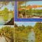 CPIB 17654 CARTE POSTALA - CRAIOVA, PARCUL POPORULUI, MOZAIC