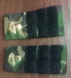 C3 - Grade militare - mozaic padure - plutonier adjutant infanterie