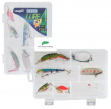 Set pescuit rapitor prokarpfishing