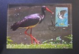 Slovacia Faună Protejată - FDC 2015 "Barza Neagră / Bocian čierny Ciconia nigra" (Ștampilă Specială Čierny Balog) - CH1