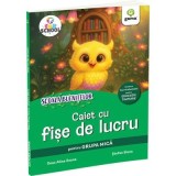 Scoala bufnitelor. Caiet de fise de lucru grupa mica- Alina Ileana Deac