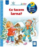 Ce facem iarna? - Hardcover - Andrea Erne - Casa