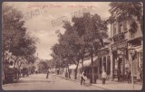 5429 - TULCEA, Magazine, Librarie si Tipografie, Romania - old postcard - unused