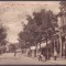 5429 - TULCEA, Magazine, Librarie si Tipografie, Romania - old postcard - unused
