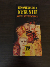 Constantin Enachescu - Fenomenologia nebuniei foto