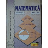 MATEMATICA, MANUAL PENTRU CLASA A VII-A-ION CHESCA, GINA CABA-234389