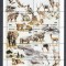 Batum ( Georgia ) - Fauna - SPECII IN PERICOL - BL - MNH