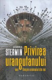 Privirea urangutanului - Alexandru Stermin