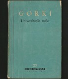 Cumpara ieftin Universitățile Mele - Maxim Gorki, Roman Beletristică, Ediție BPT