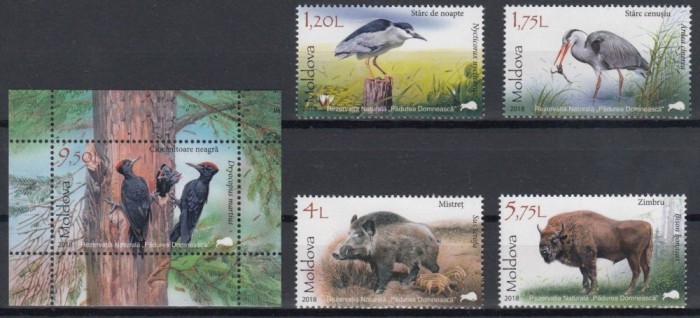 MOLDOVA 2018 FAUNA DIN PADUREA DOMNEASCA