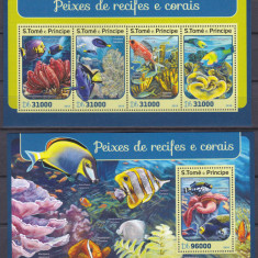 DB1 Fauna Marina Sao Tome Pesti de Recif si Corali MS + SS MNH