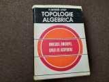 TOPOLOGIE ALGEBRICA - R. MIRON , I.POP RM4