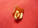 Insigna veche Club Sportiv Zimbrul Suceava , h=1,8cm metal si email